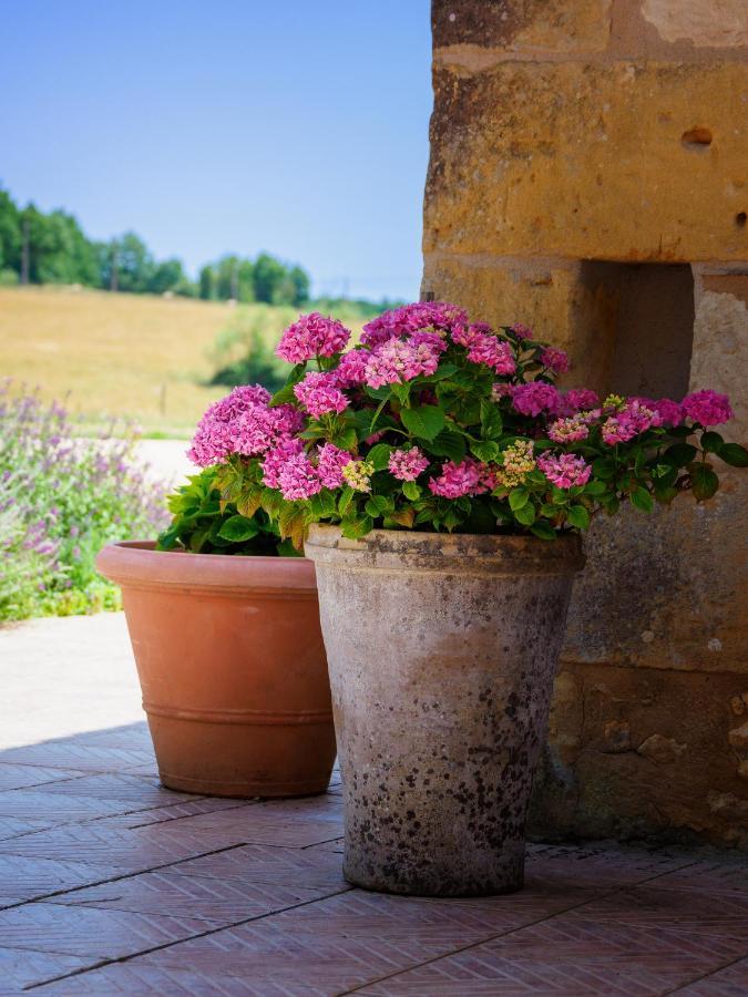 Villa Le Nid De Faucons Lalinde Exterior foto